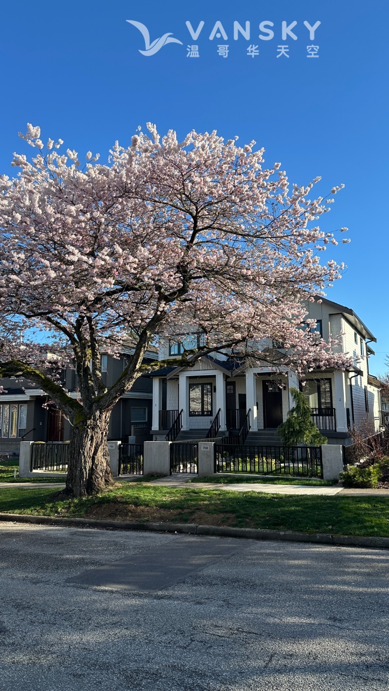 250403205332_街道 2.jpg